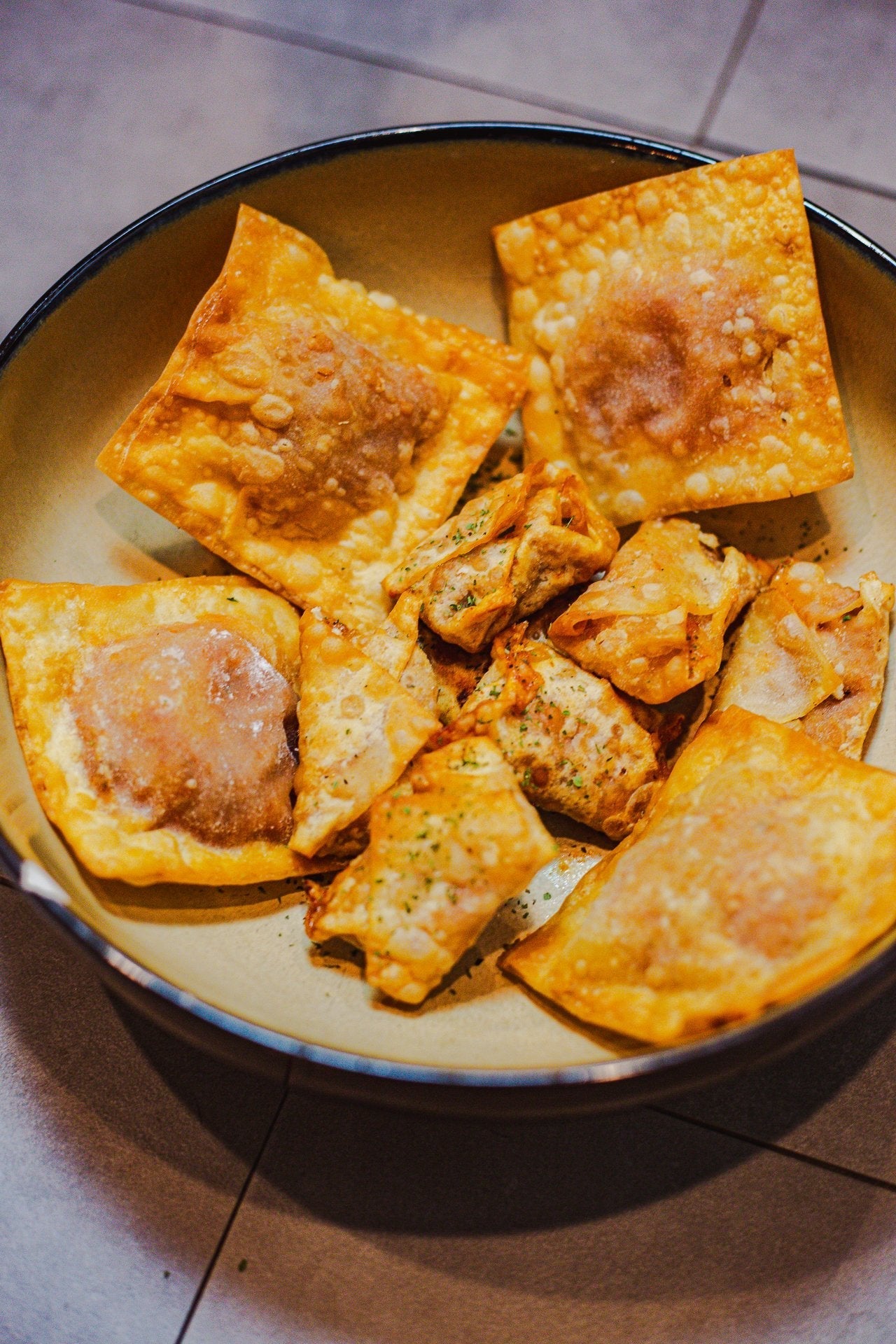 Vegan Pizza Rolls and Fried Ravioli